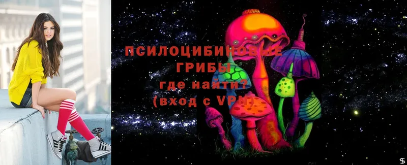 дарнет шоп  Великие Луки  мега сайт  Галлюциногенные грибы Magic Shrooms 